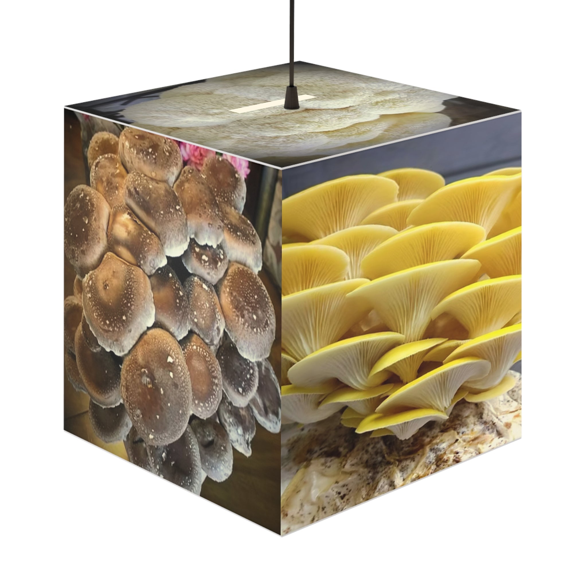 Light Cube Lamp