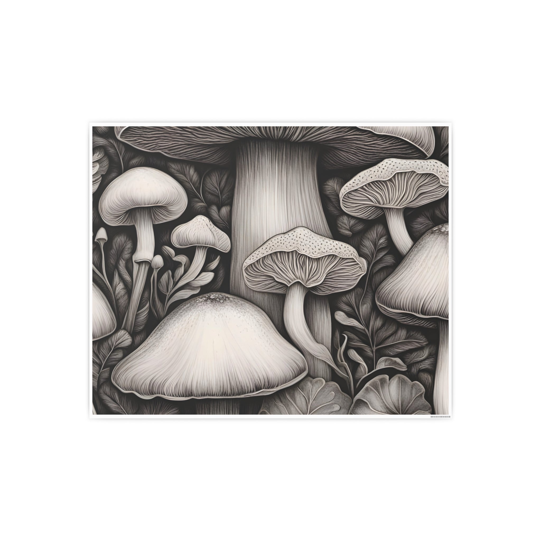 Poster: Mushroom Illustration Poster — Botanical Fungi Art Print
