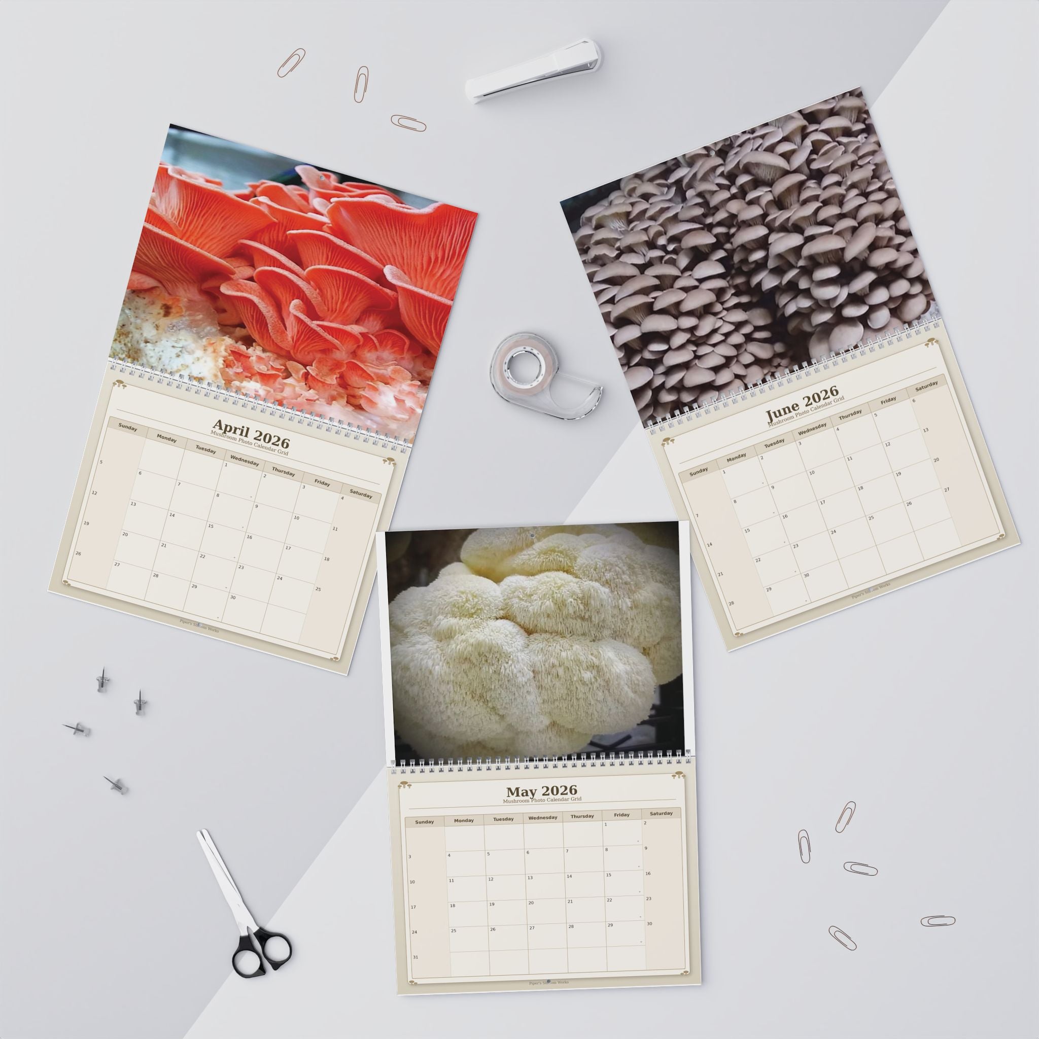 Mushroom Wall Calendar — 12-Month Fungi Photography Calendar (Monthly Planner)