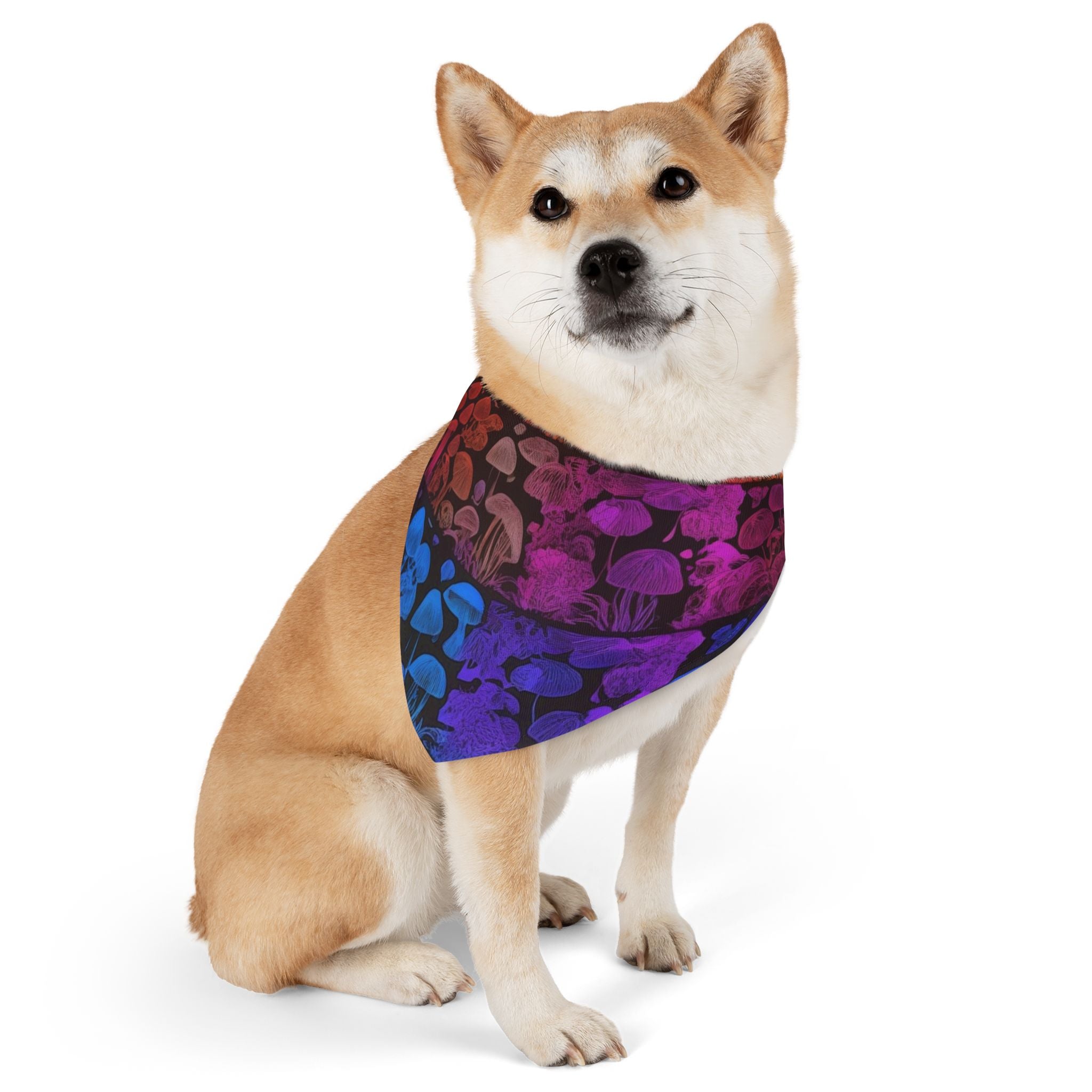 🌈 Shroom Bloom Spectrum Pet Bandana – Where Fungi Meets Fashion