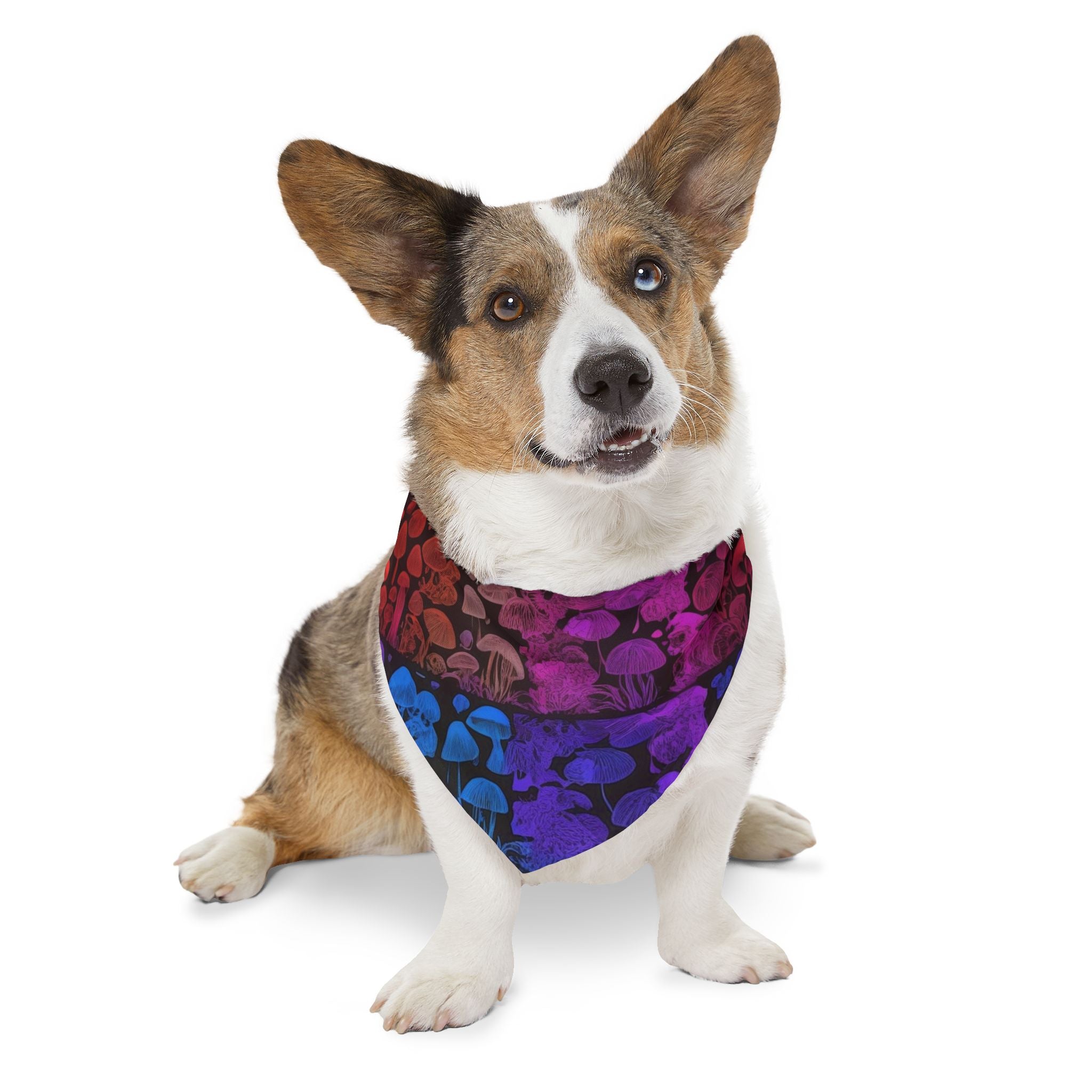🌈 Shroom Bloom Spectrum Pet Bandana – Where Fungi Meets Fashion