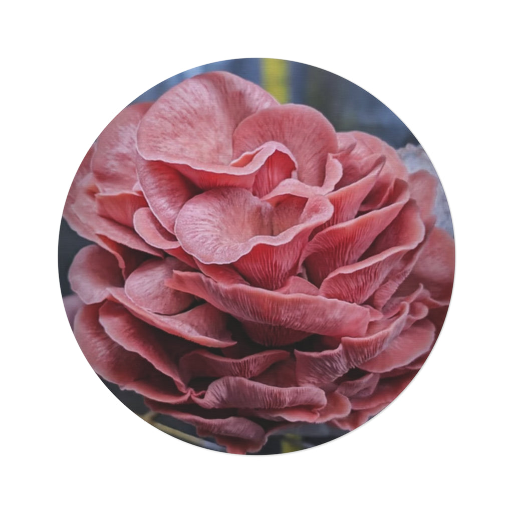 Blush Peony Round Rug — Floral Pink Decorative Accent Mat