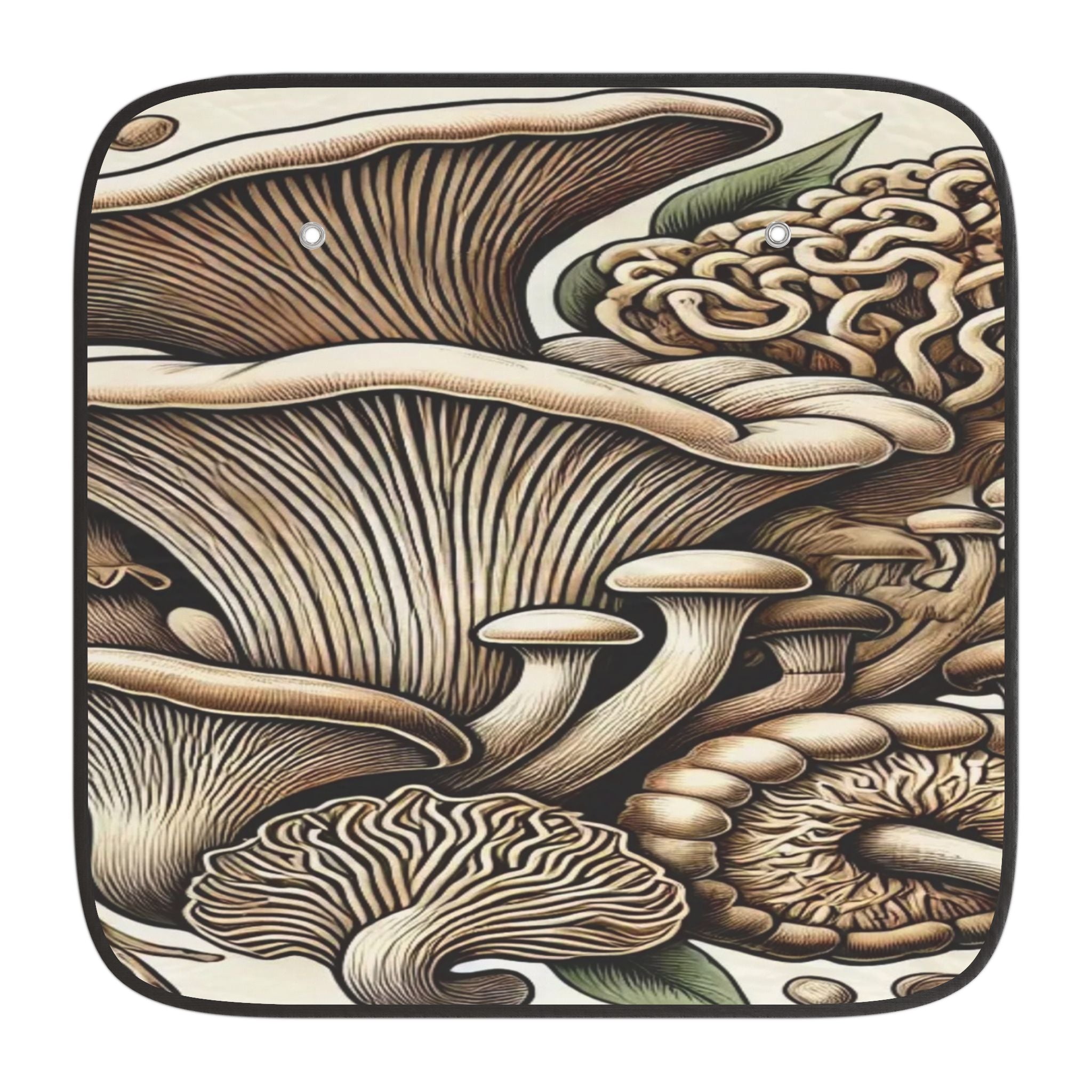 🍄✨ “Mushroom Kingdom Adventure” 🌿🦉