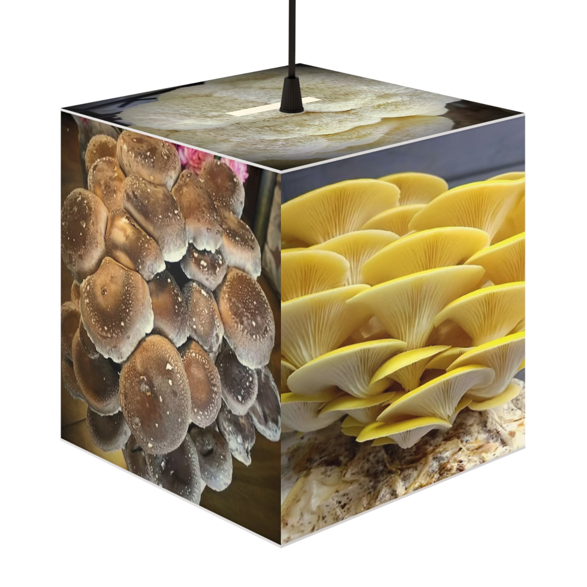 Light Cube Lamp