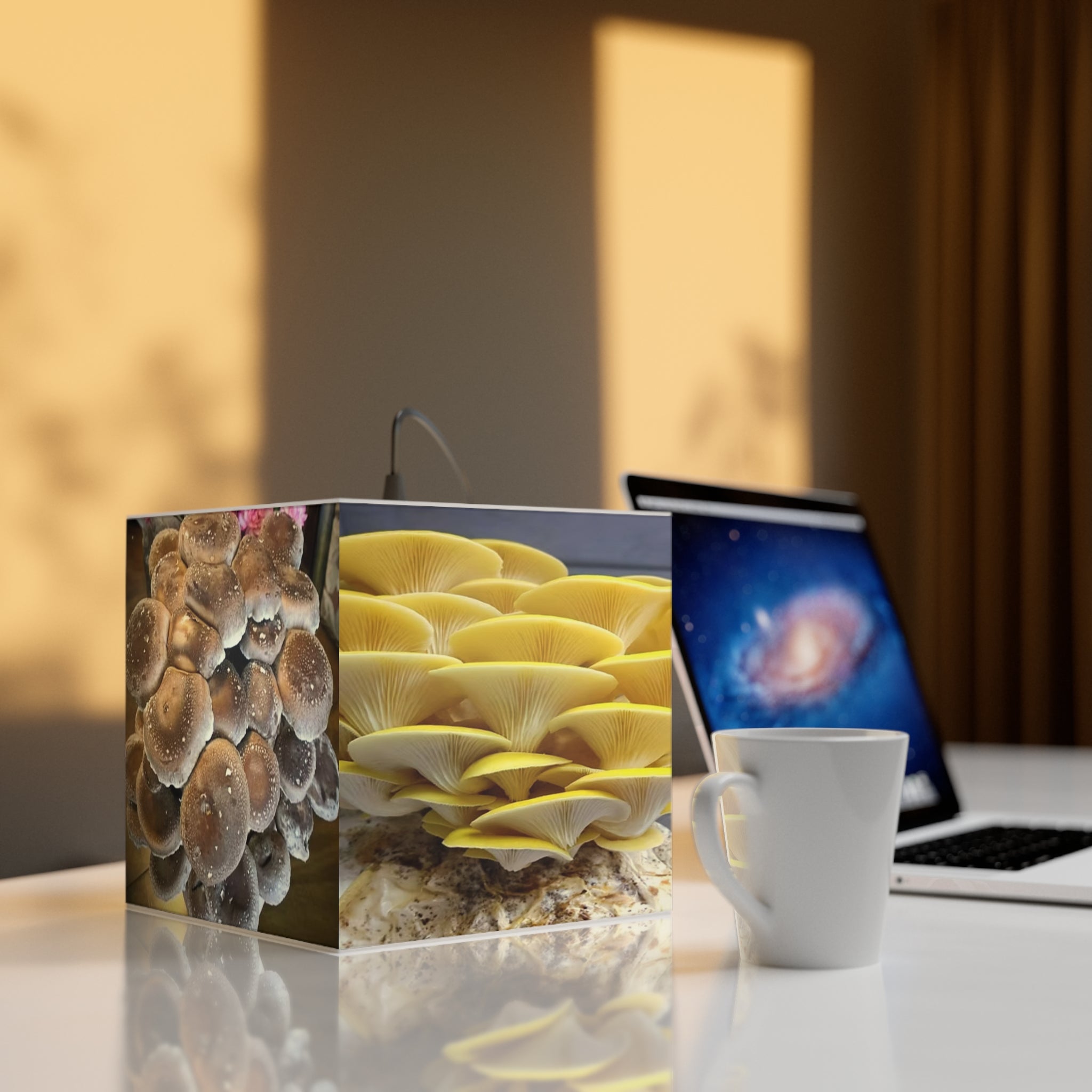 Light Cube Lamp