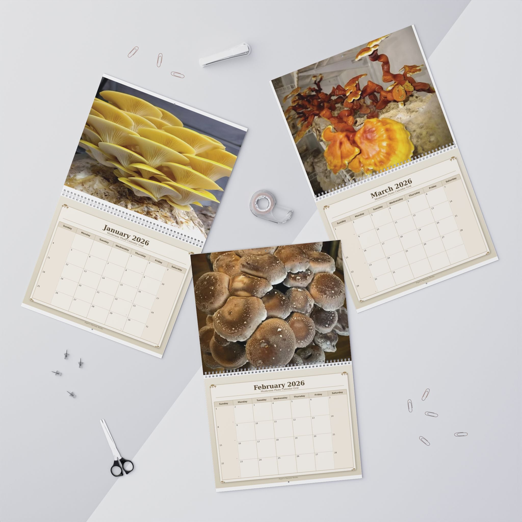 Mushroom Wall Calendar — 12-Month Fungi Photography Calendar (Monthly Planner)
