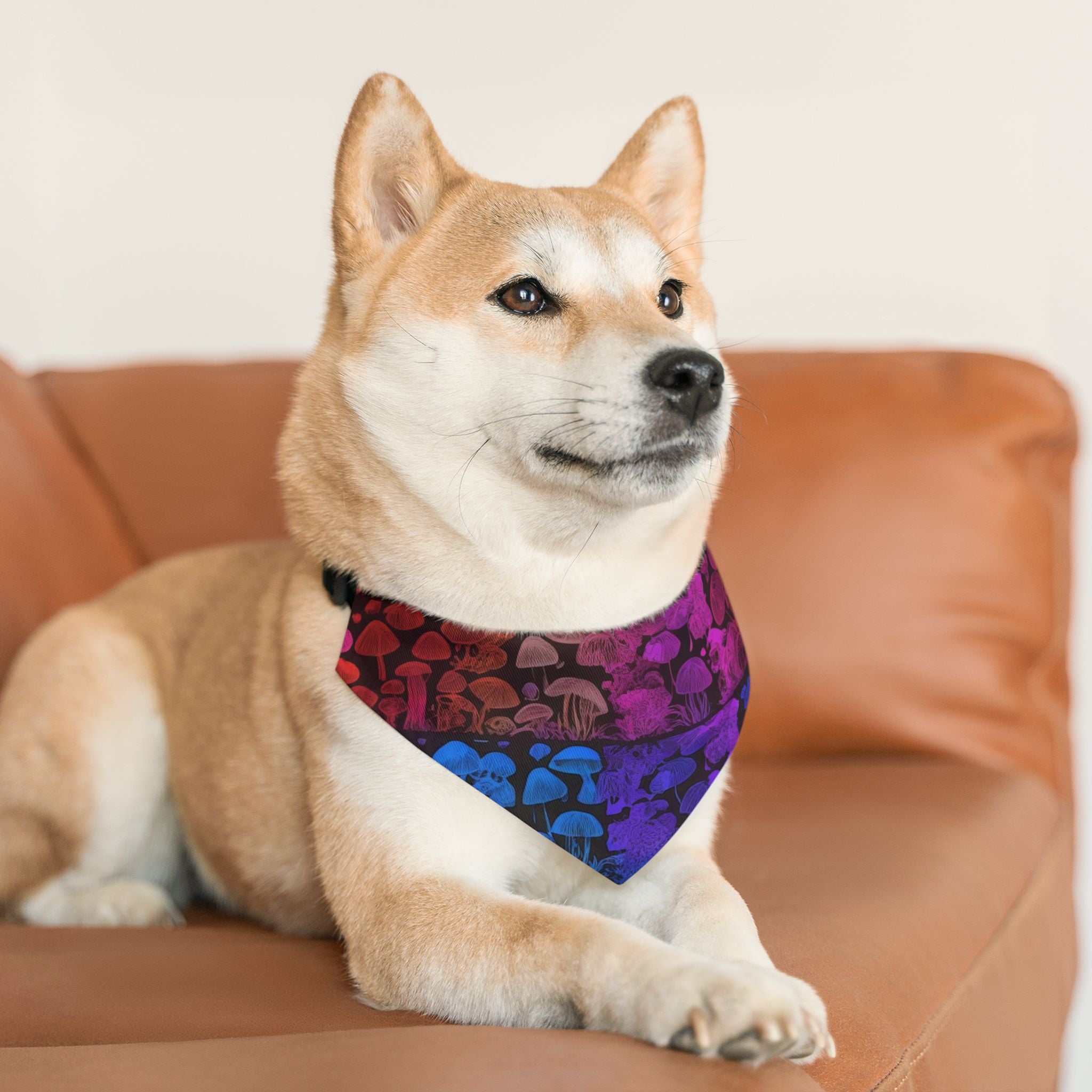 🌈 Shroom Bloom Spectrum Pet Bandana – Where Fungi Meets Fashion