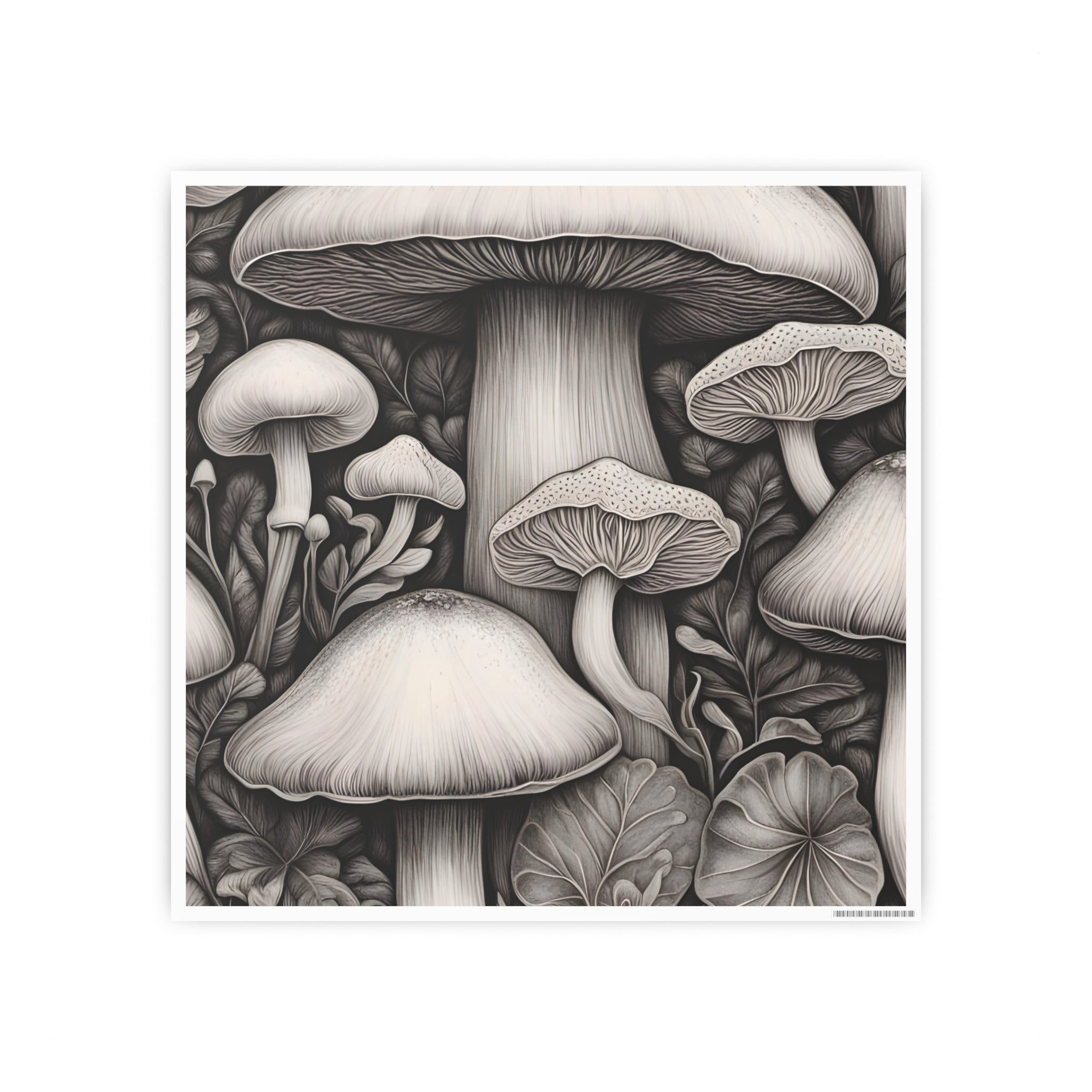 Poster: Mushroom Illustration Poster — Botanical Fungi Art Print