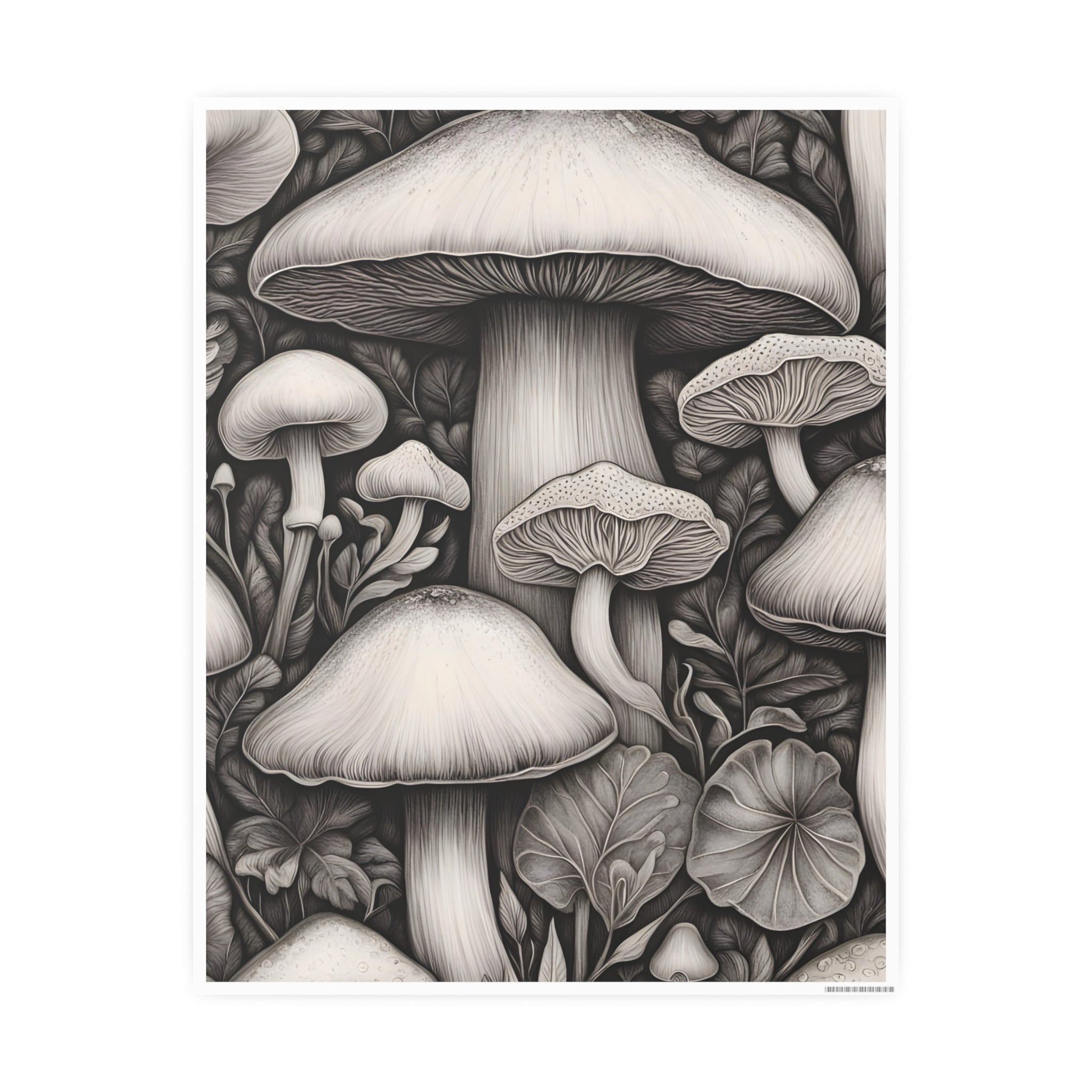 Poster: Mushroom Illustration Poster — Botanical Fungi Art Print