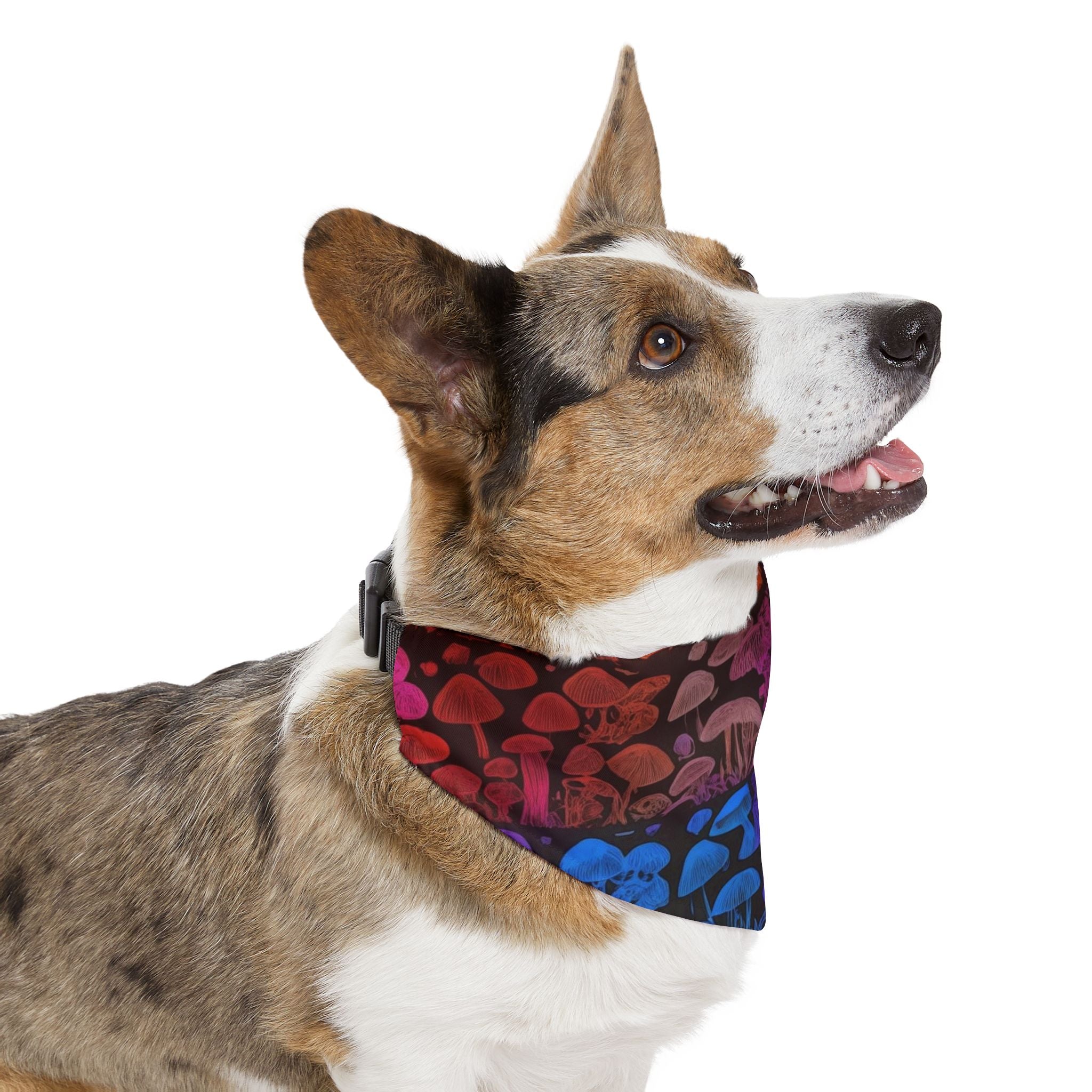 🌈 Shroom Bloom Spectrum Pet Bandana – Where Fungi Meets Fashion