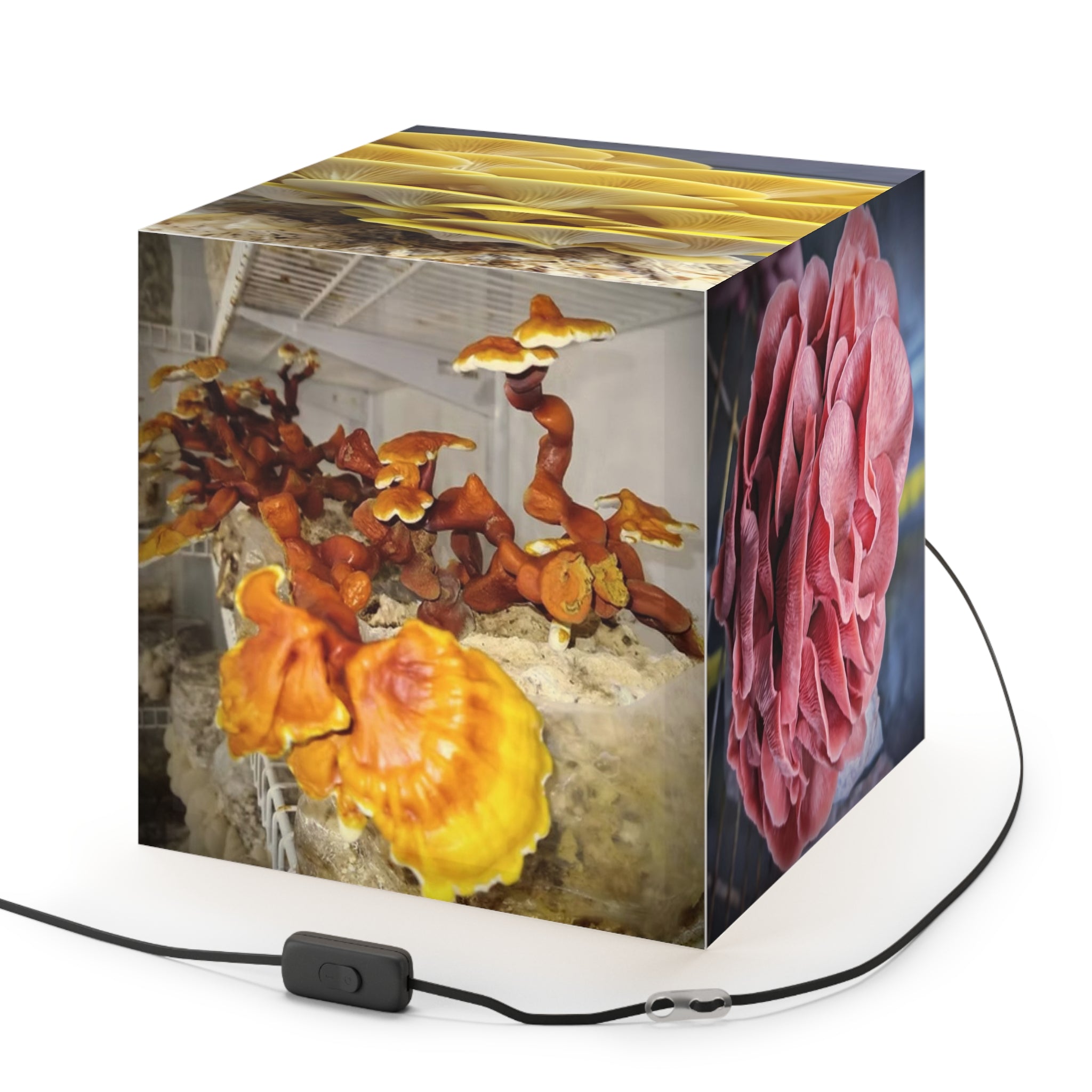 Light Cube Lamp