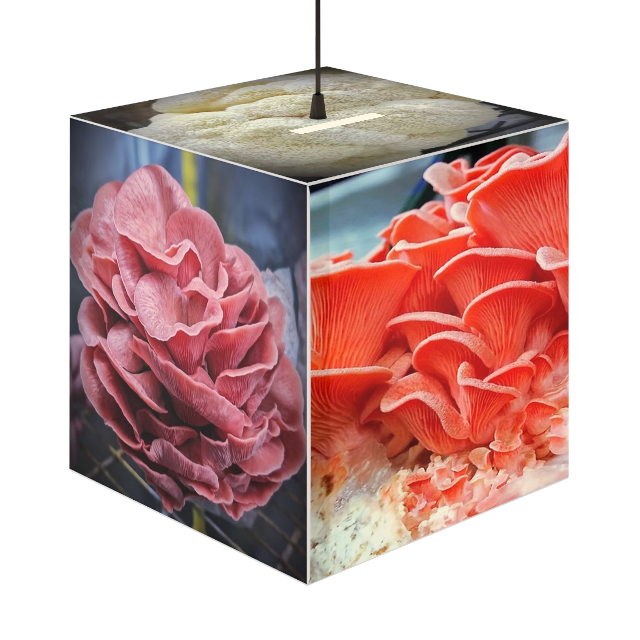Light Cube Lamp