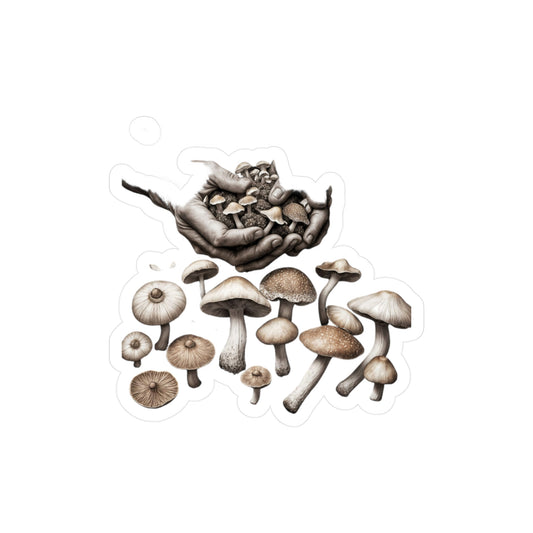 🌱 "Held by Earth" Mushroom Sticker – A Tribute to Nature's Healing Touch Hold the wisdom of the forest in the palm of your hand.