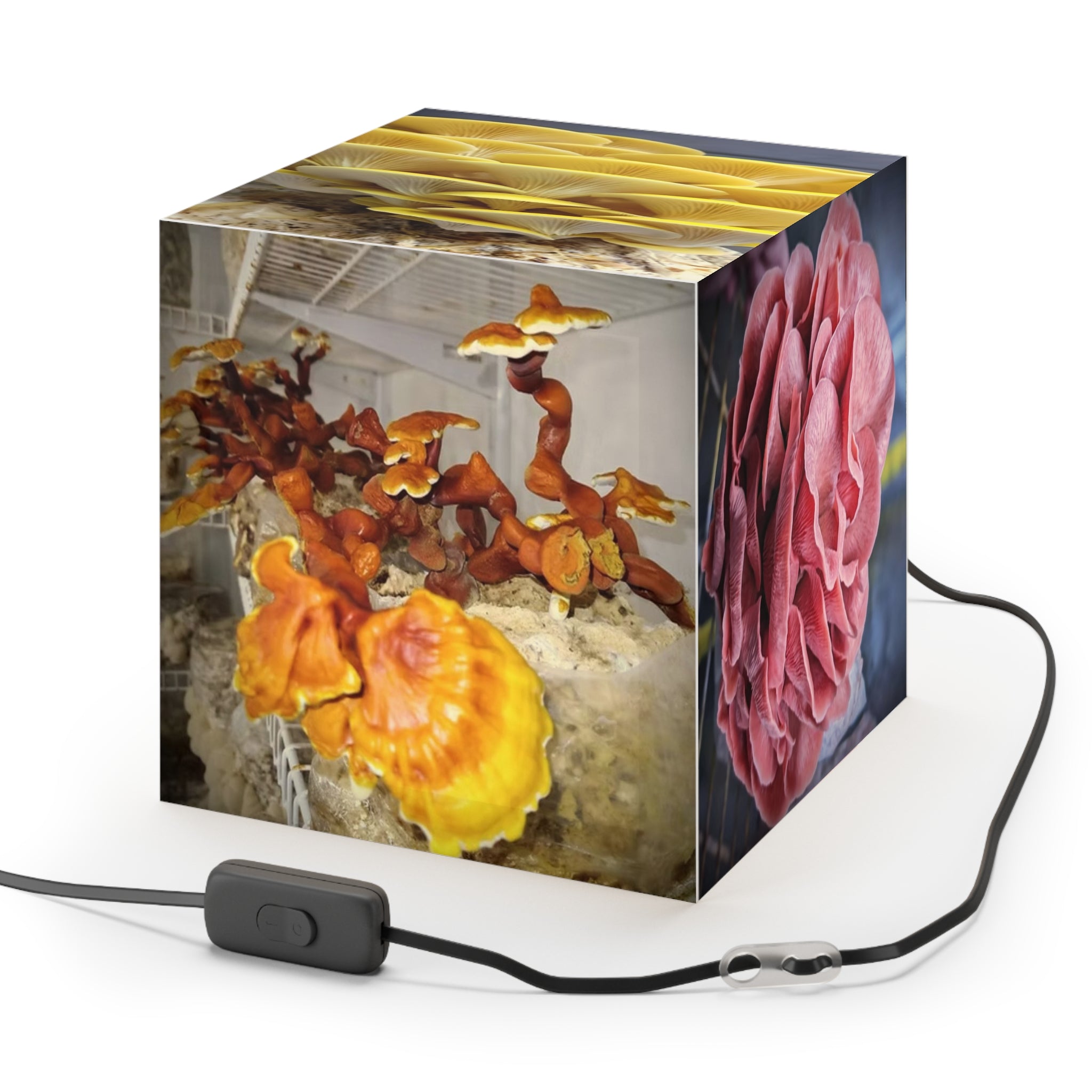 Light Cube Lamp