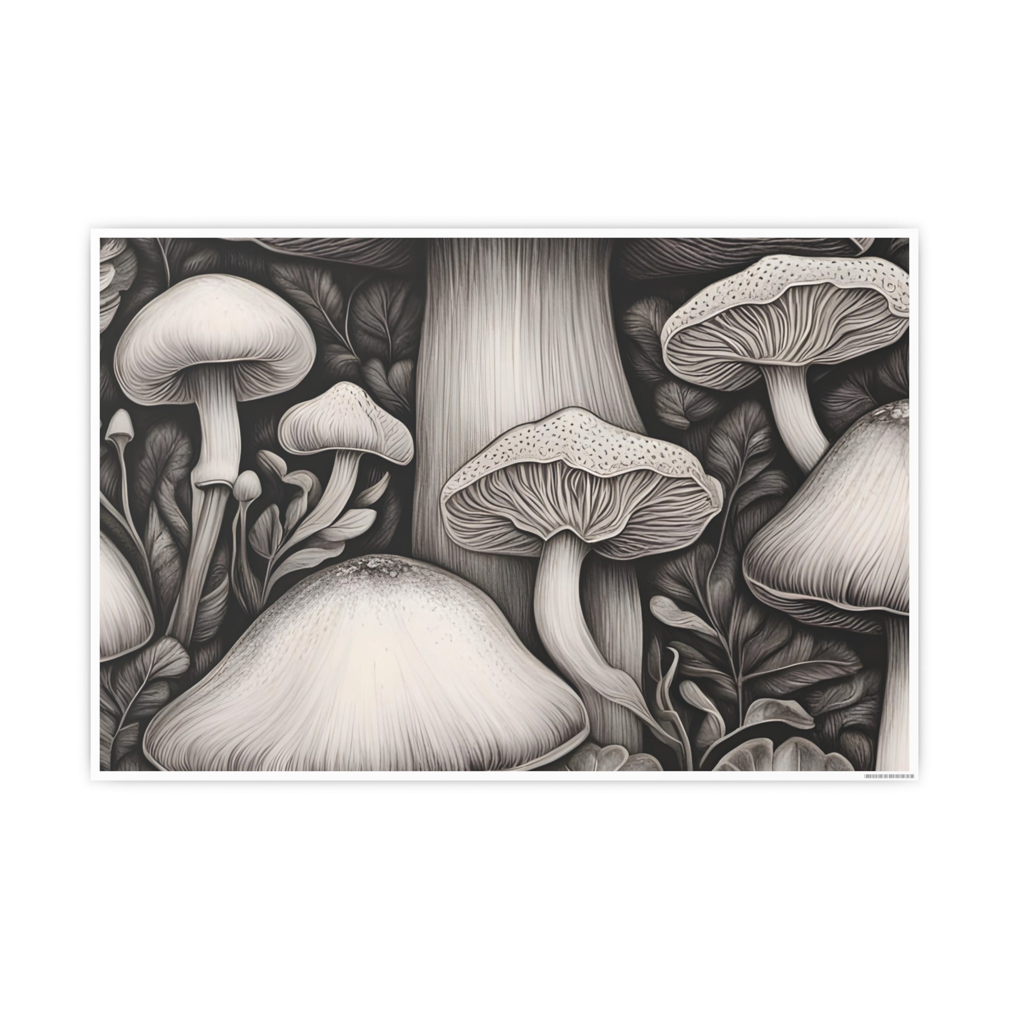 Poster: Mushroom Illustration Poster — Botanical Fungi Art Print