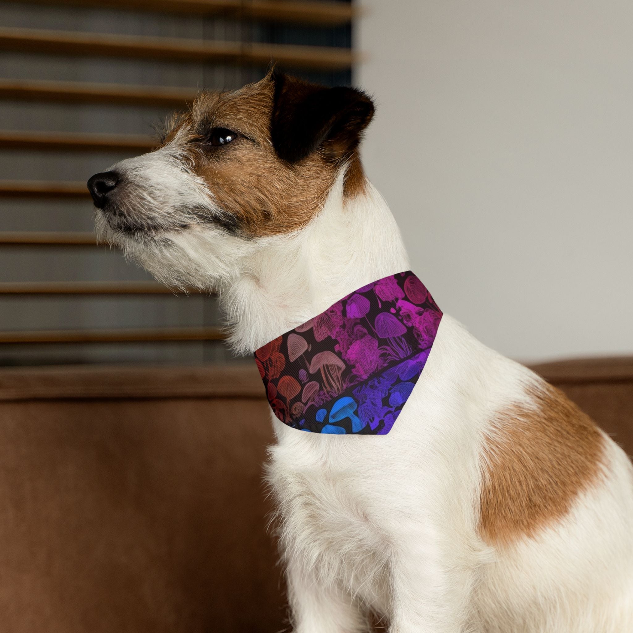 🌈 Shroom Bloom Spectrum Pet Bandana – Where Fungi Meets Fashion
