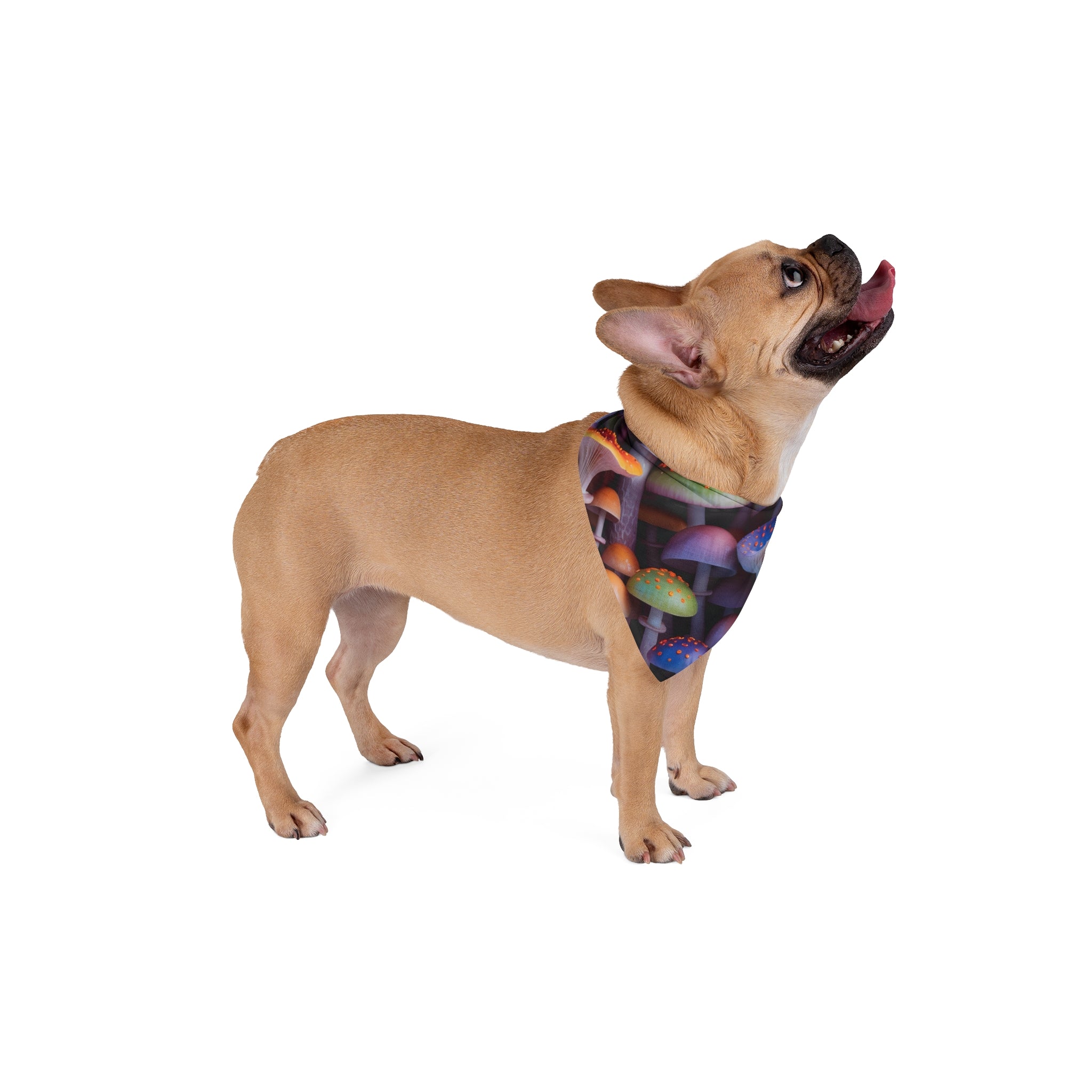 Pet Bandana: Mushroom Wonderland Pet Bandana — Colorful Psychedelic Mushroom Print for Dogs & Cats