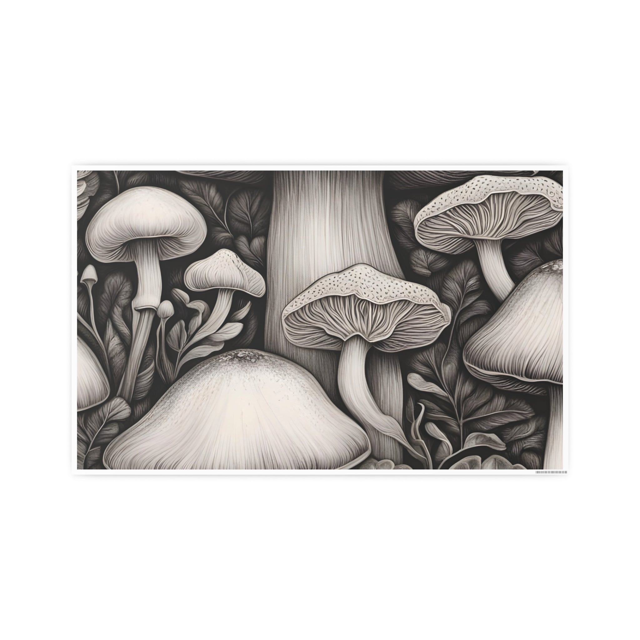 Poster: Mushroom Illustration Poster — Botanical Fungi Art Print