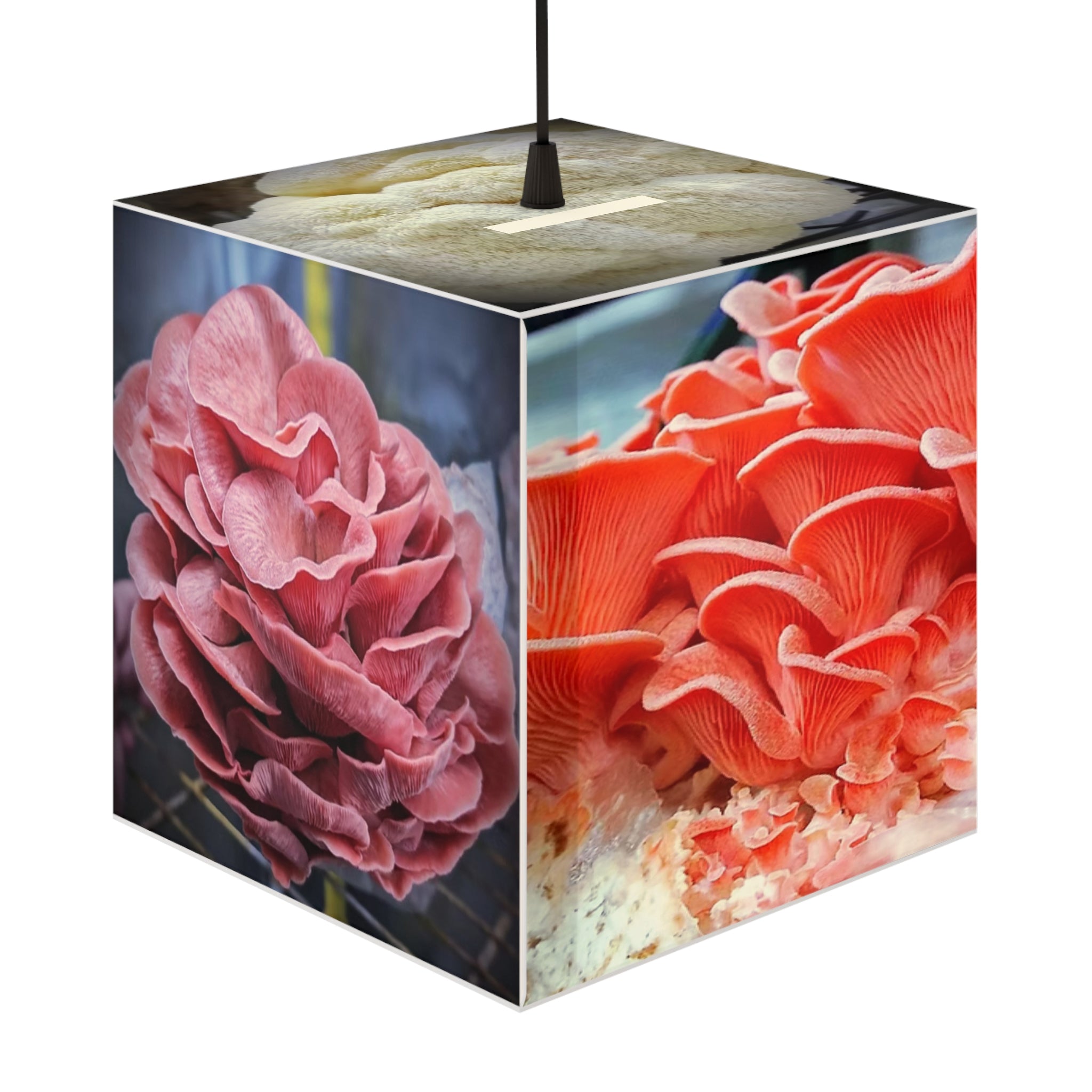 Light Cube Lamp