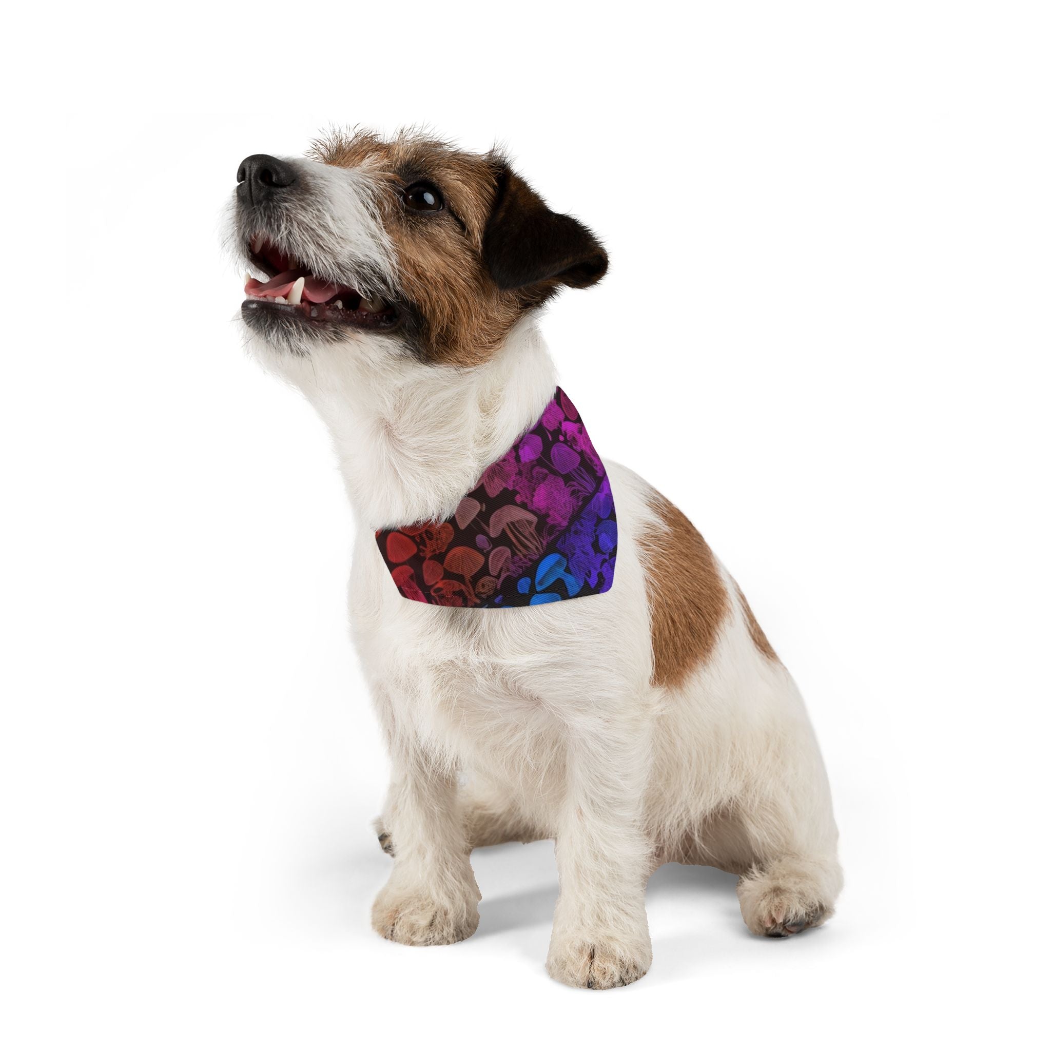 🌈 Shroom Bloom Spectrum Pet Bandana – Where Fungi Meets Fashion