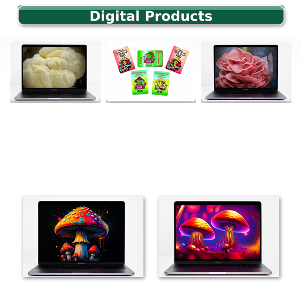 Digital Products Downloads