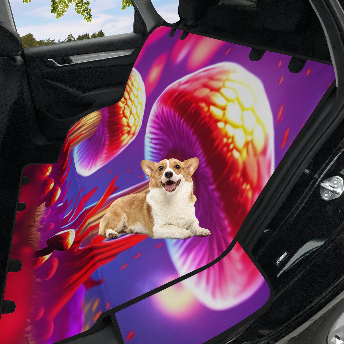 🍄✨ Car Pet Seat Covers🍄✨